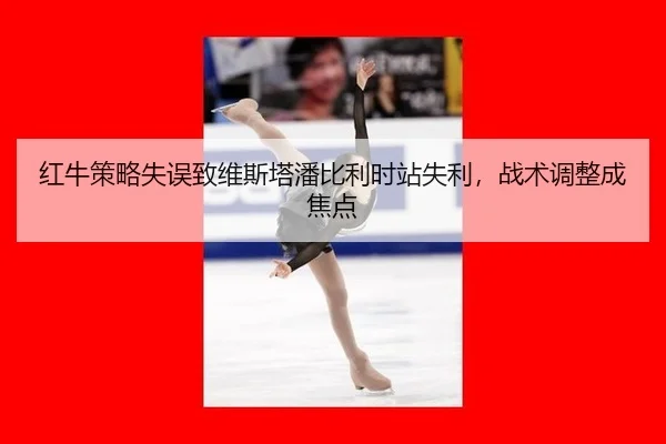 hong-niu-ce-lve-shi-wu-zhi-wei-si-ta-pan-bi-li-shi-zhan-shi-li-zhan-shu-tiao-zheng-cheng-jiao-dian-2-323.jpg
